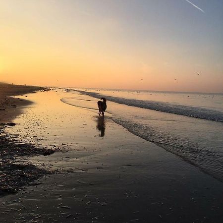 Au Gre Du Vent Lägenhet Koksijde Exteriör bild